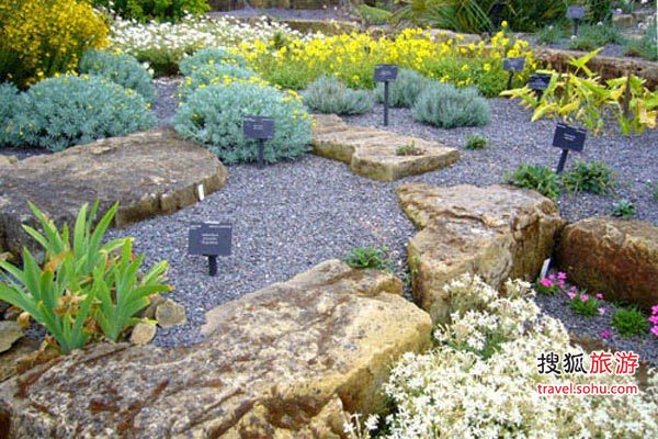 �ʼ�ֲ��԰��԰(the royal botanic gardens, kew)