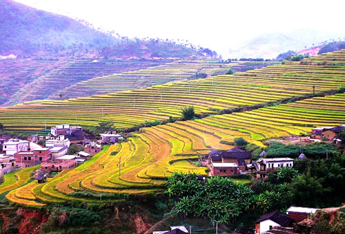 美丽壮观的坪山千亩梯田