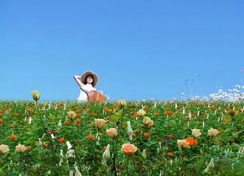 广州宝趣玫瑰世界