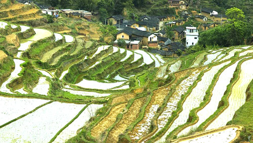 美丽壮观的坪山千亩梯田