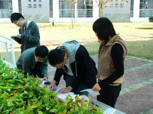 2009궬Ӫһڶ