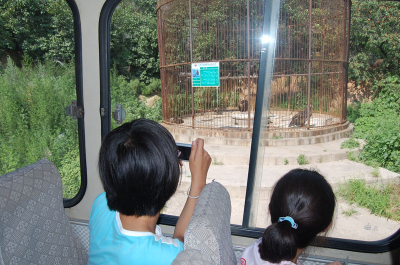 走进环球雅思2008北京本土留洋英语夏令营 图片点击可在新窗口打开查看