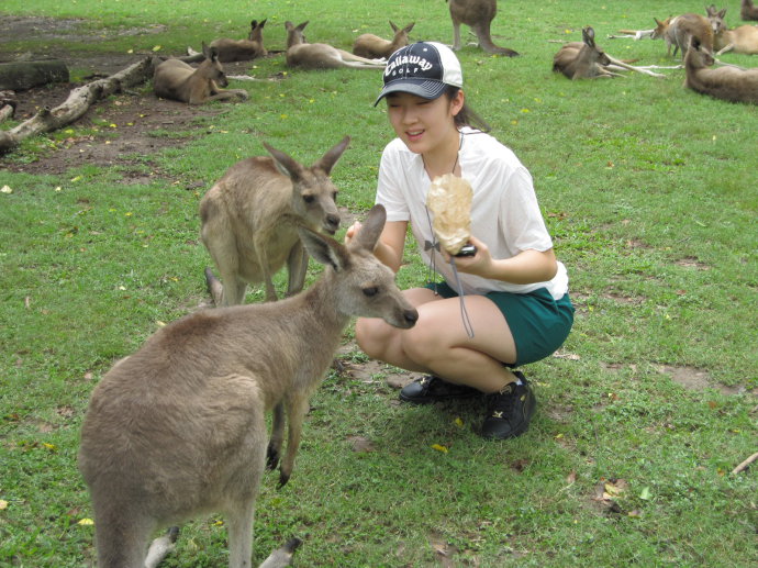 2010޶Ӫfiona