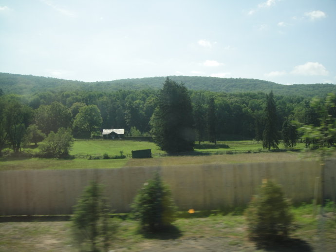 [ת]У`.woodbury