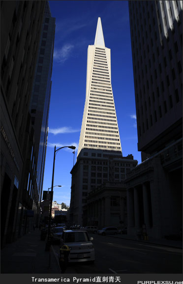 �ɽ�ɽdowntown��transamerica pyramid