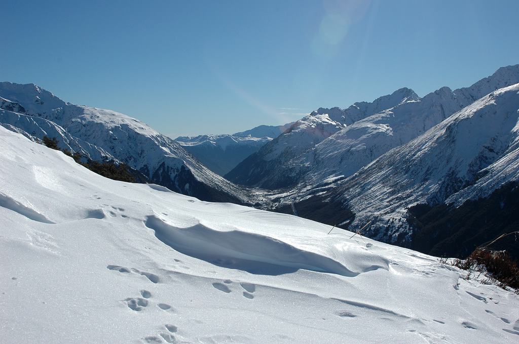 ��auther��s pass����һ����avalanche peak track!!������һ�����ѩɽɽ��~�����ѩ����!�ж��?�����ѩ����˵Ĵ���?���֪���ж���˰�!����һ����ǰ̤ʱѩ�Ѿ�����Ĵ��ȴ���!