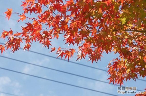 20110918112935623379