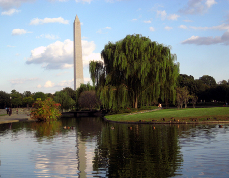 ��ʢ�ټ��|��ʢ�����ξ���|�������ξ���