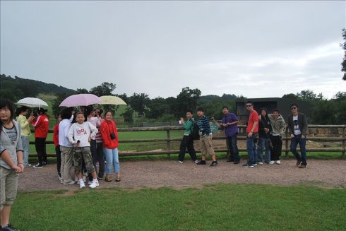 عȻ--longleat <wbr>safari <wbr>park(Ұ԰-1