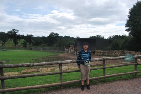 عȻ--longleat <wbr>safari <wbr>park(Ұ԰-1