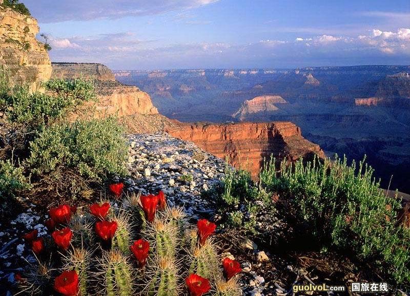 ����ɣ���ݷ羰ͼ