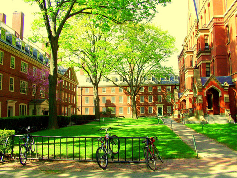 ţ���ѧͼƬ