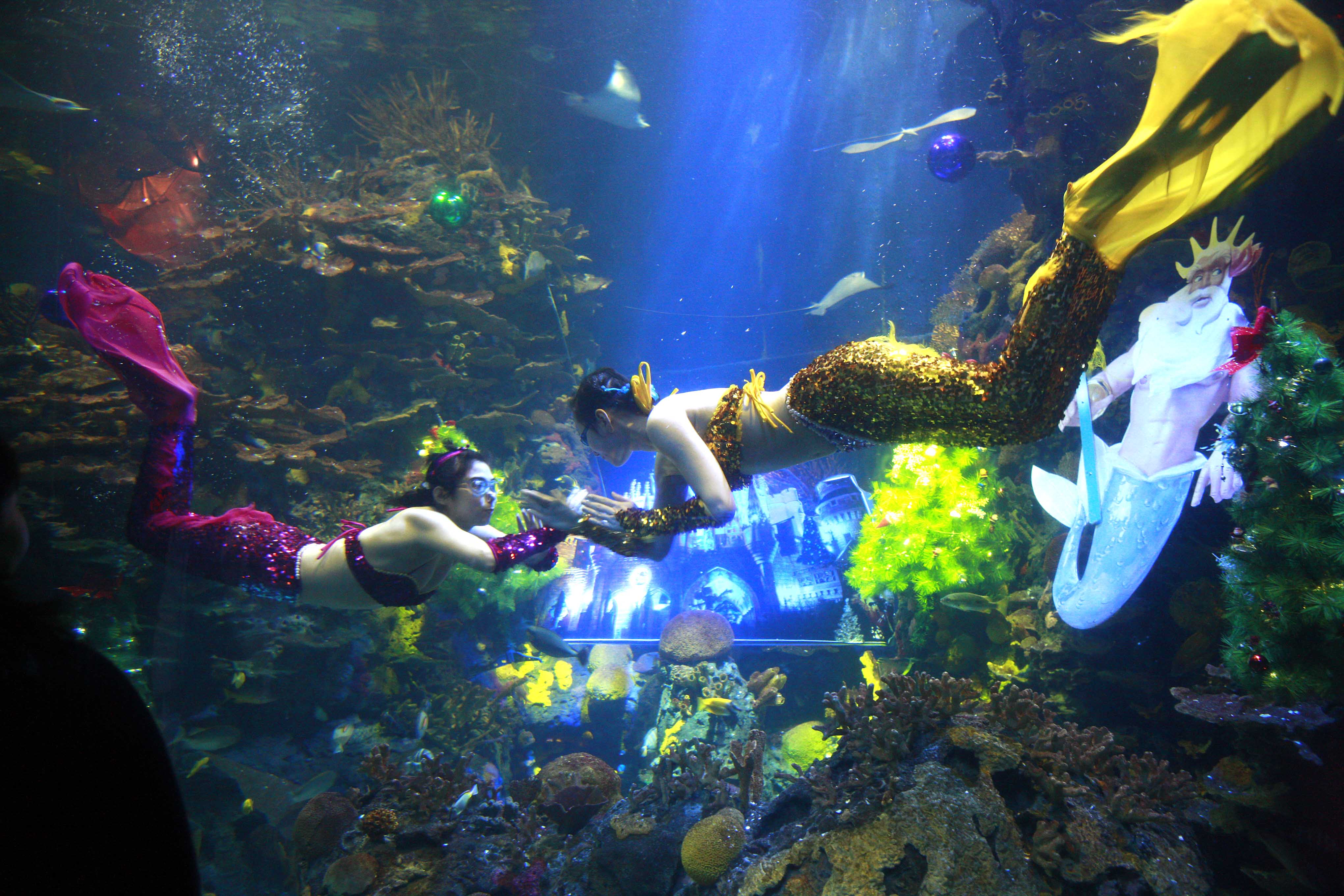 ���繫԰��������