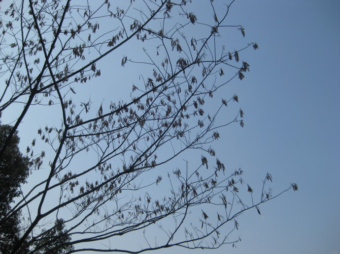 day&nbsp;<wbr>5,�����మһ����