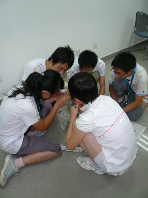ḻʵչ