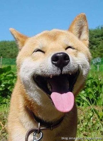 于世泳:篮球·微笑 于世泳:篮球·微笑