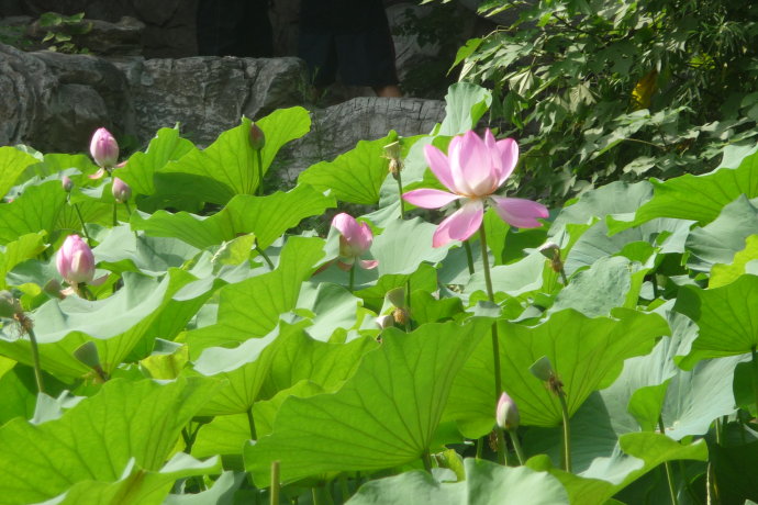 �řh:&nbsp;<wbr>������ѧӪ—┶��������ǵĿ��ּ��&nbsp;<wbr>��ͼ˵��