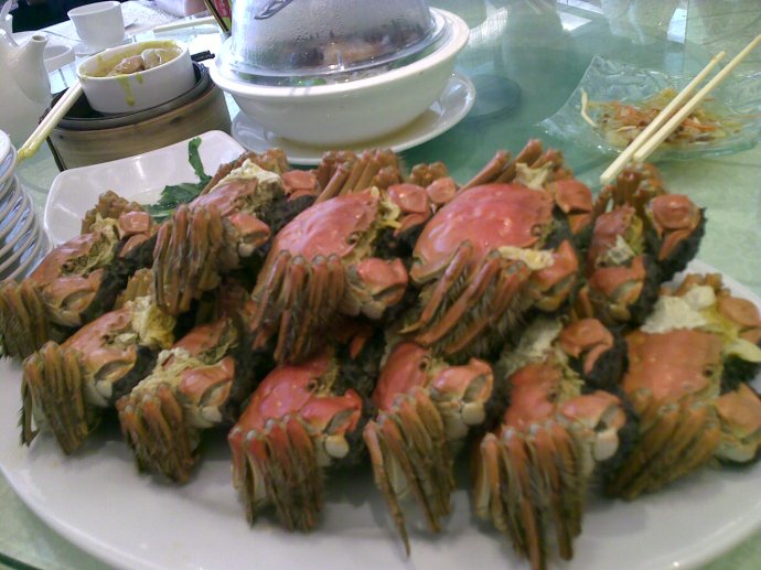 andyл�𾩣������Щ�¶�������