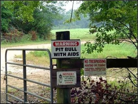 mandy�����࣡��ָʾ��ѧӢ��~~