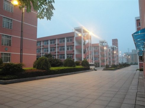 ������ͬ��Ƭ��Ӱ�ڷ�ӳ