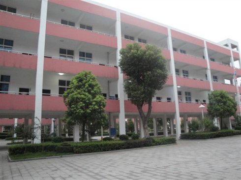 ������ͬ��Ƭ��Ӱ�ڷ�ӳ