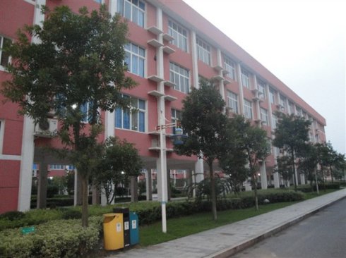 ������ͬ��Ƭ��Ӱ�ڷ�ӳ